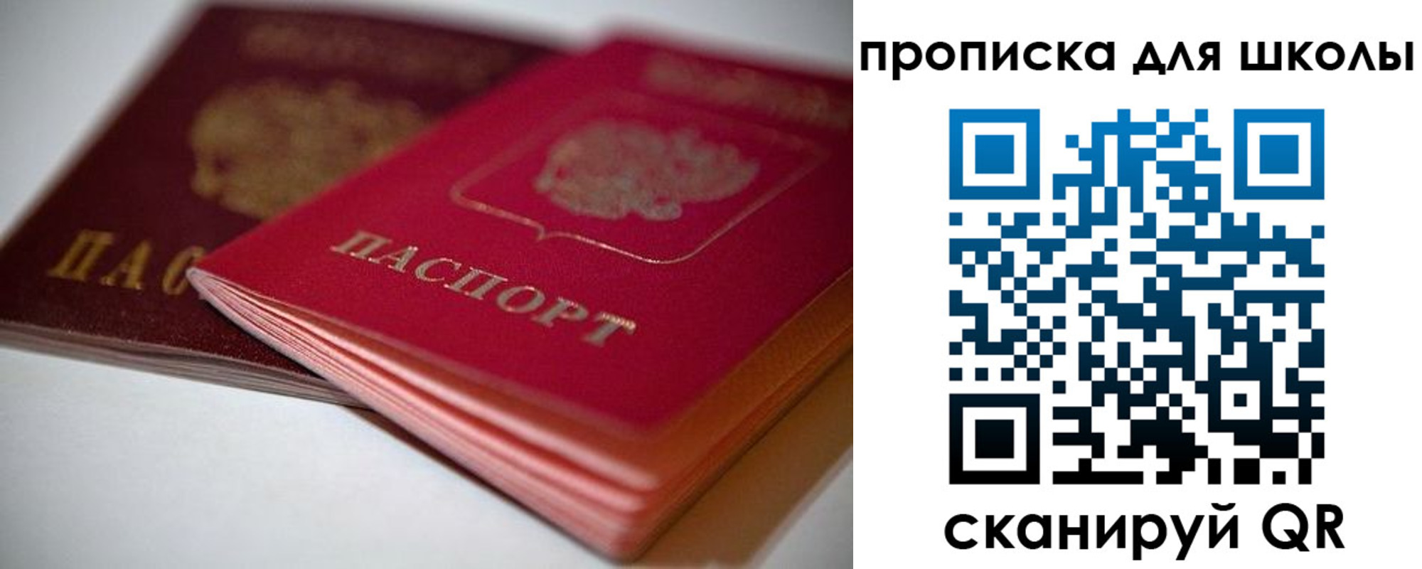 прописка для школы в Липецкая области